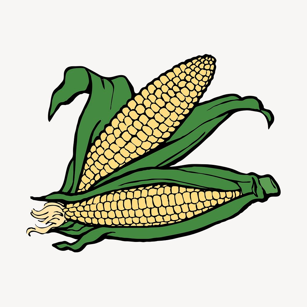 Corn collage element, vegetable illustration psd. Free public domain CC0 image.