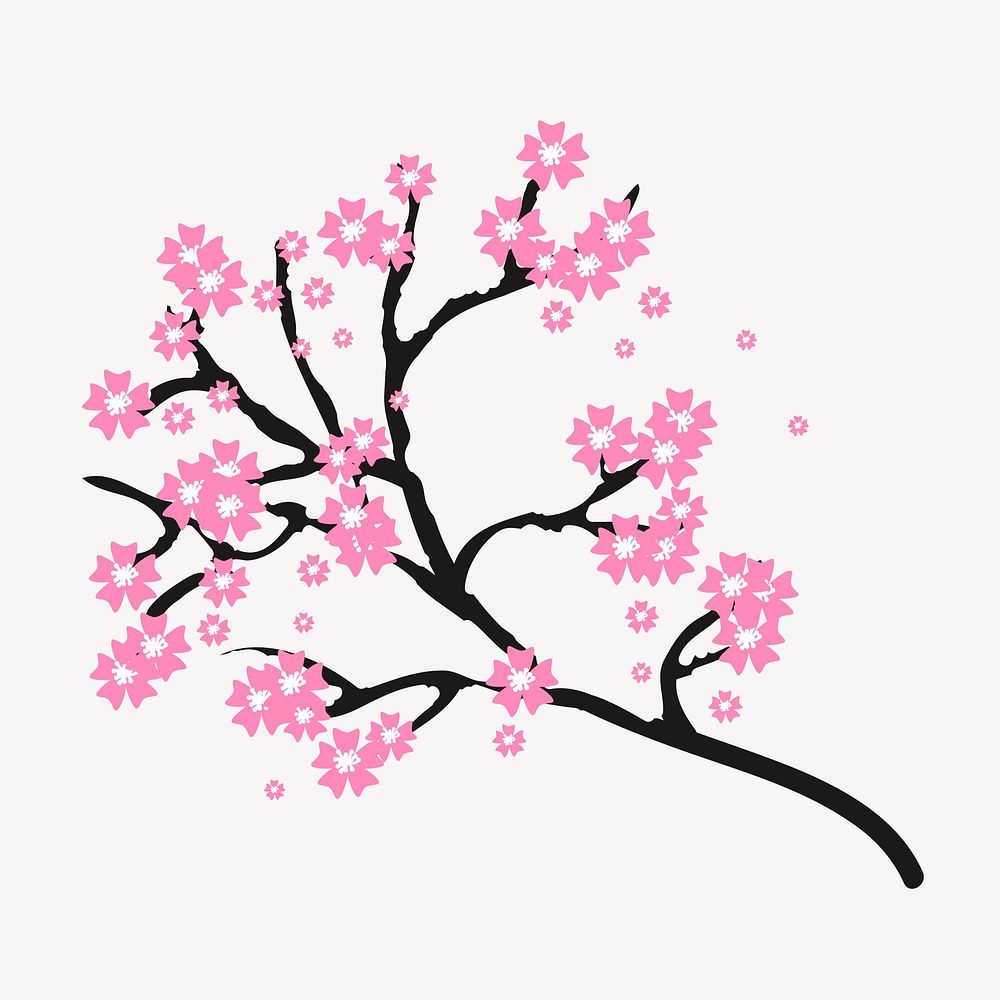 Cherry blossom flower collage element, botanical illustration psd. Free public domain CC0 image.