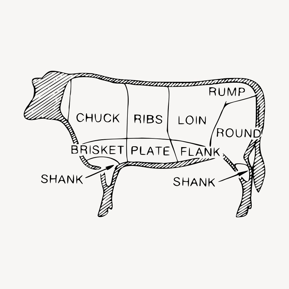 Beef cuts clipart, diagram illustration vector. Free public domain CC0 image.