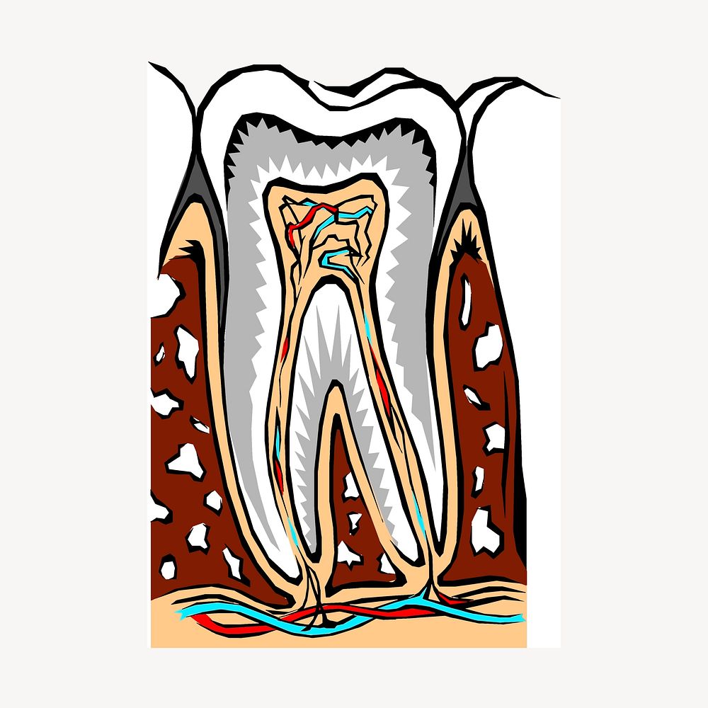 Tooth diagram collage element, dental illustration psd. Free public domain CC0 image.