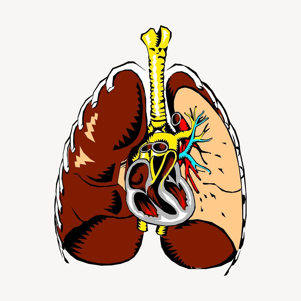 Human lungs collage element, medical illustration psd. Free public domain CC0 image.