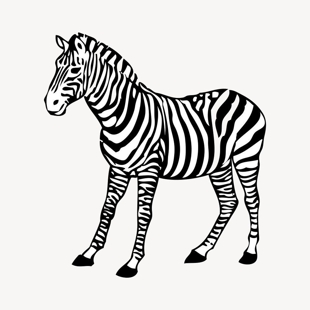 Zebra sticker, animal illustration psd. Free public domain CC0 image.