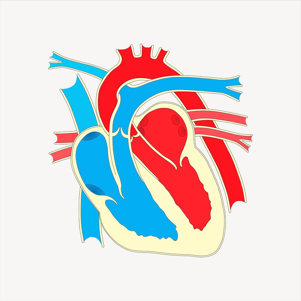 Heart diagram sticker, medical illustration psd. Free public domain CC0 image.