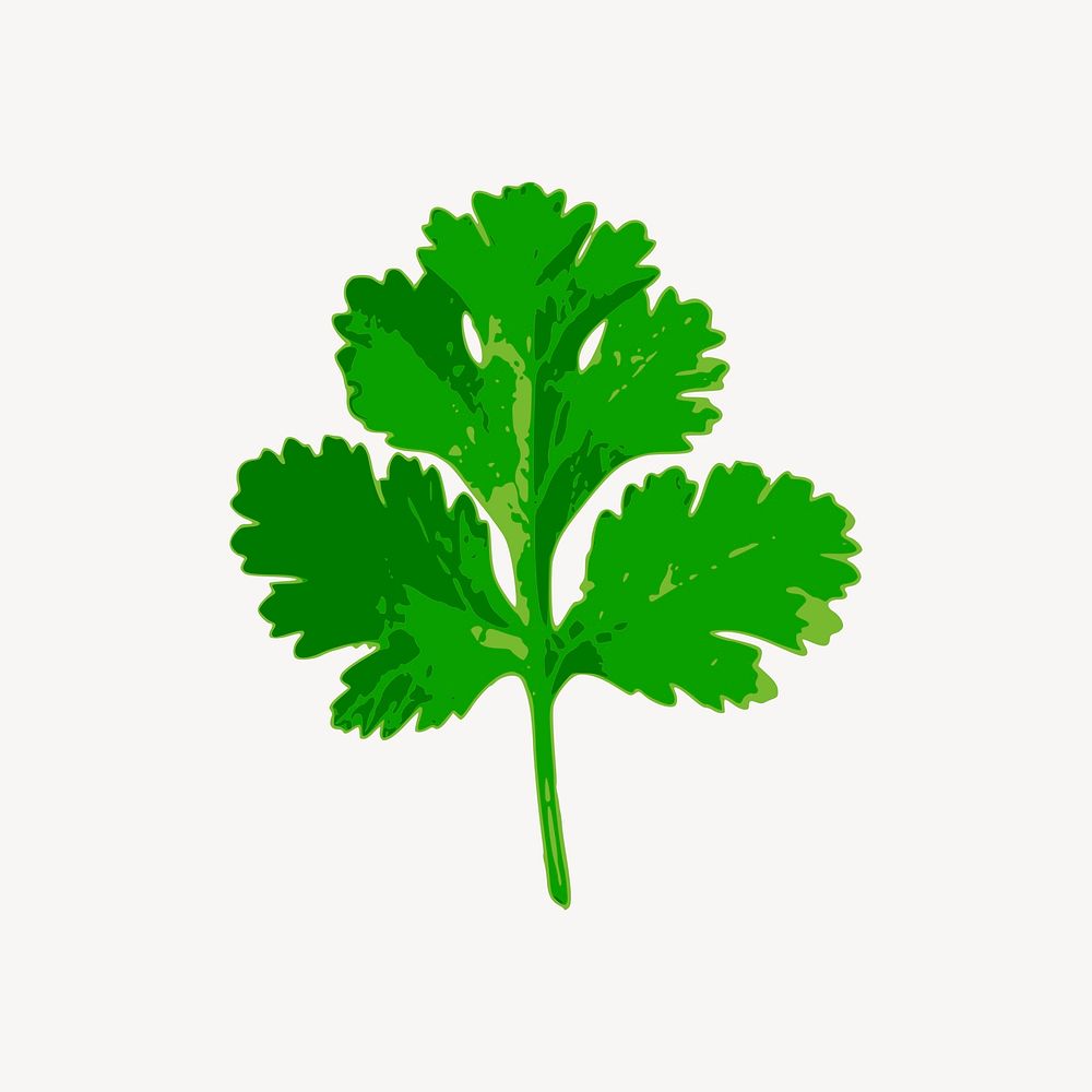 Coriander leaf sticker, vegetable illustration psd. Free public domain CC0 image.