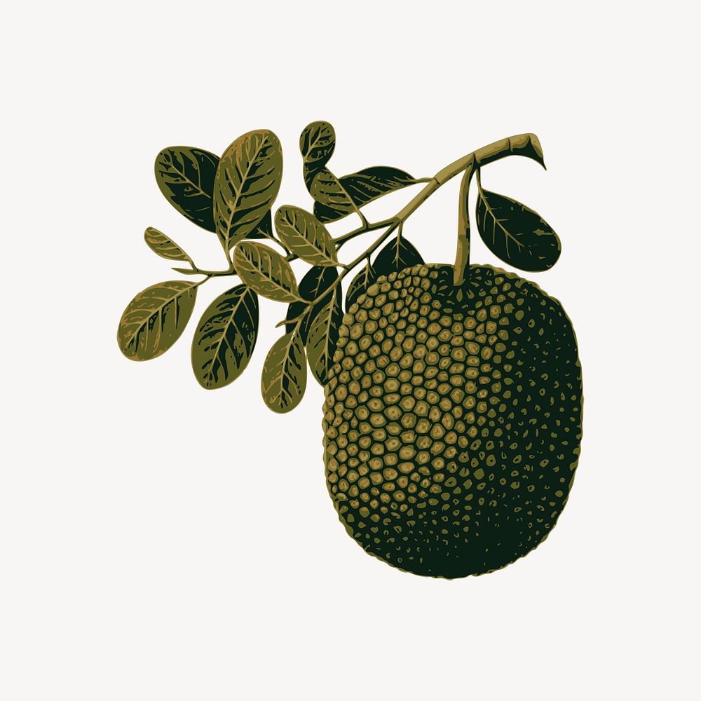  Jackfruit sticker, fruit illustration psd. Free public domain CC0 image.