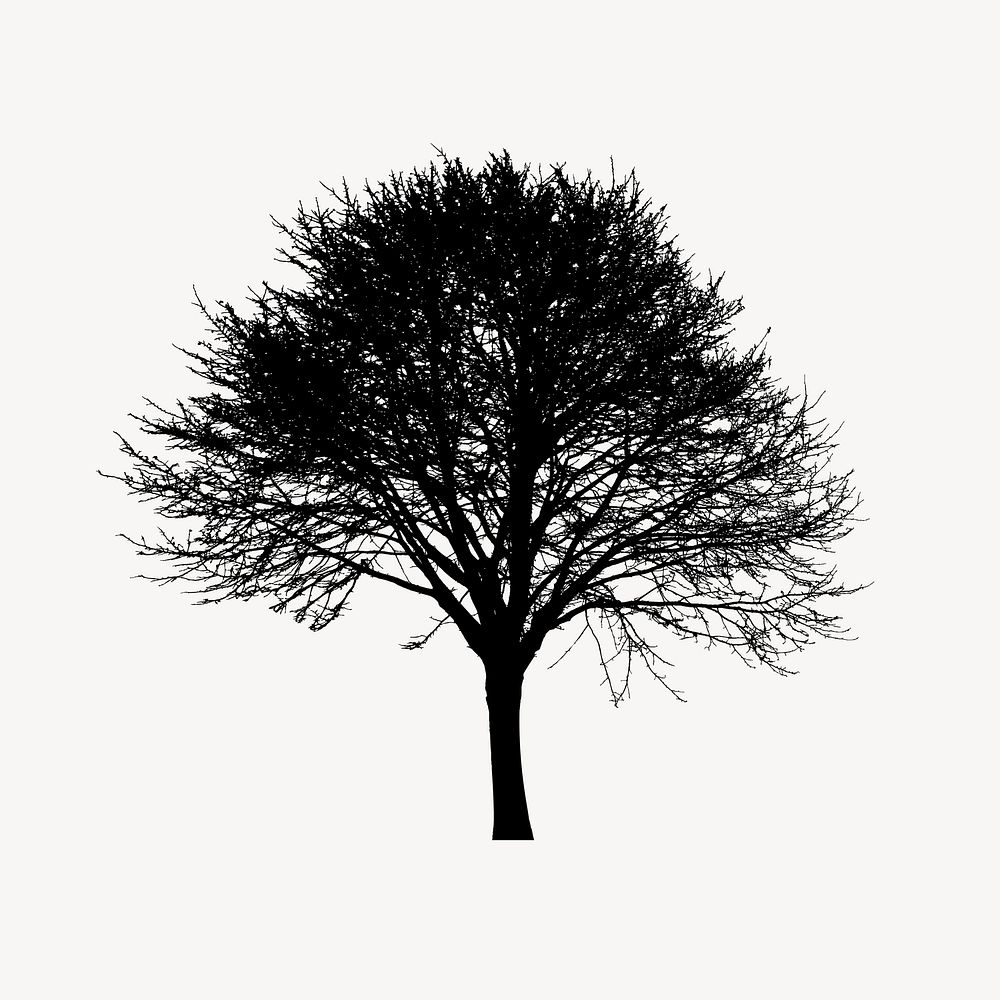 Tree silhouette clipart, botanical illustration psd. Free public domain CC0 image.