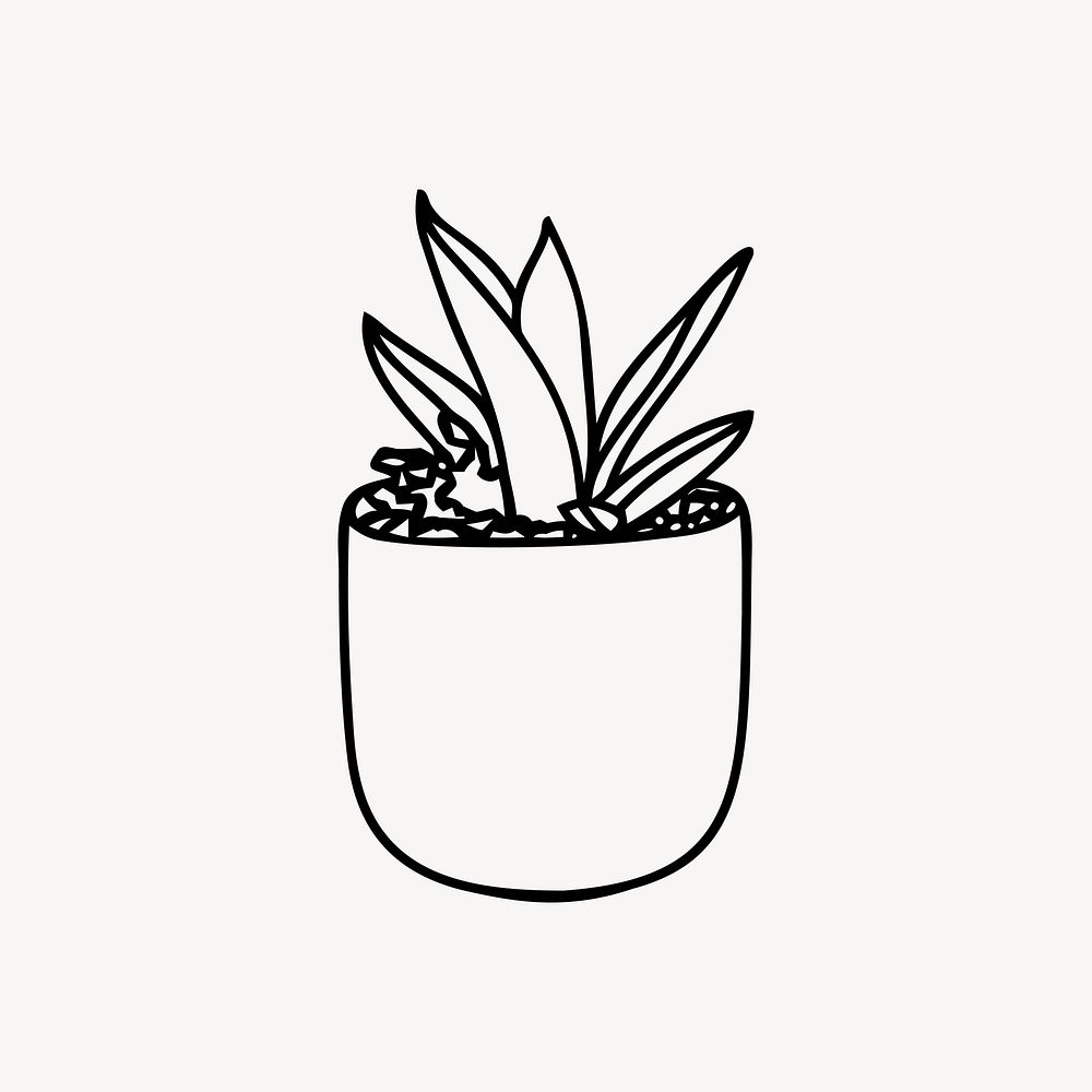 Potted snake plant drawing, botanical illustration vector. Free public domain CC0 image.