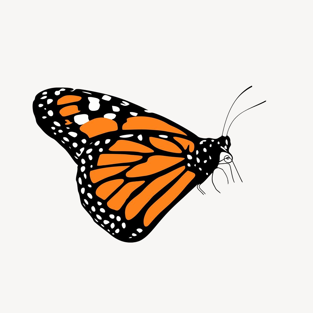 Monarch butterfly clipart, insect illustration. Free public domain CC0 image.