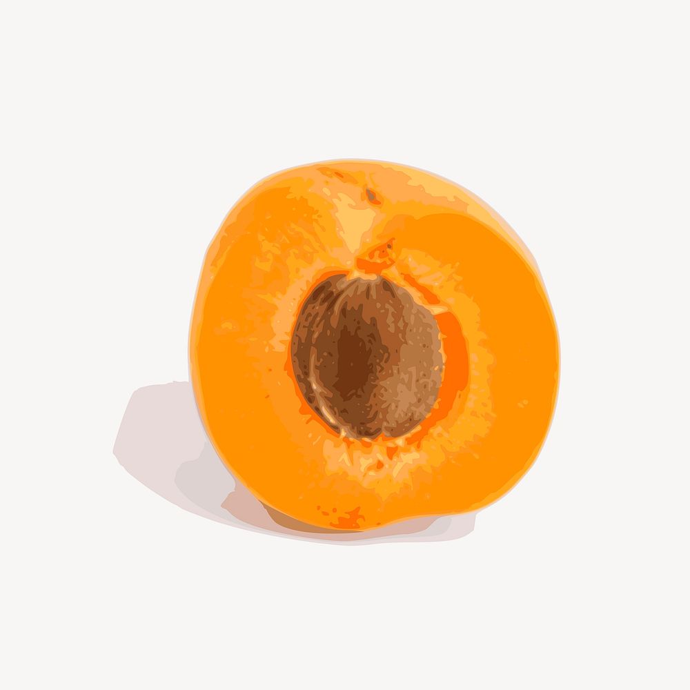 Apricot sticker, fruit illustration vector. Free public domain CC0 image.
