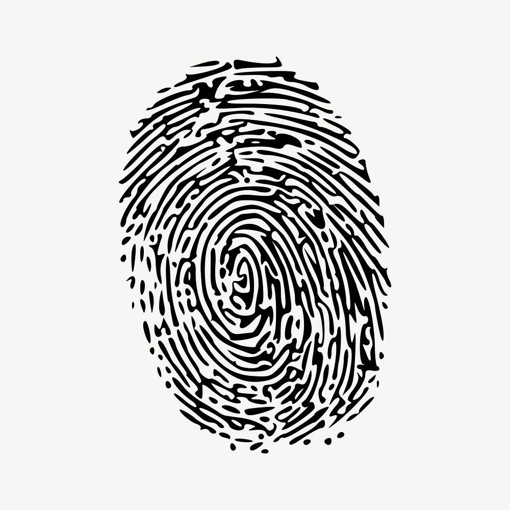 Fingerprint drawing, biometric illustration. Free public domain CC0 image.