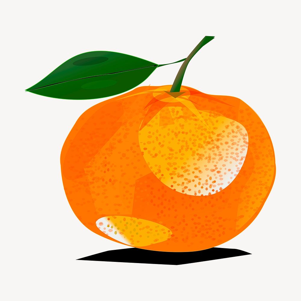 Orange clipart, fruit illustration vector. Free public domain CC0 image.