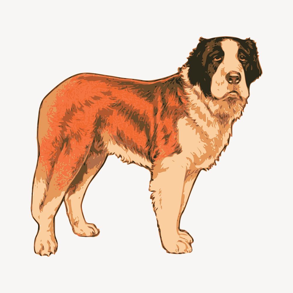 St. Bernard dog clipart, animal illustration vector. Free public domain CC0 image.