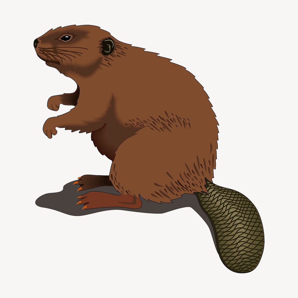 Beaver clipart, animal illustration psd. Free public domain CC0 image.