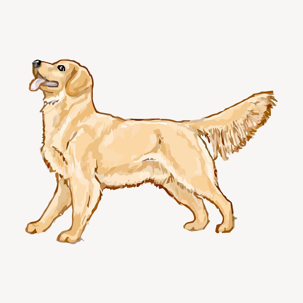 Golden Retriever dog clipart, animal illustration psd. Free public domain CC0 image.