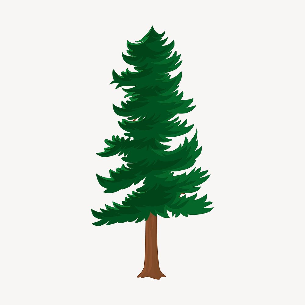 Pine tree clipart, botanical illustration vector. Free public domain CC0 image.