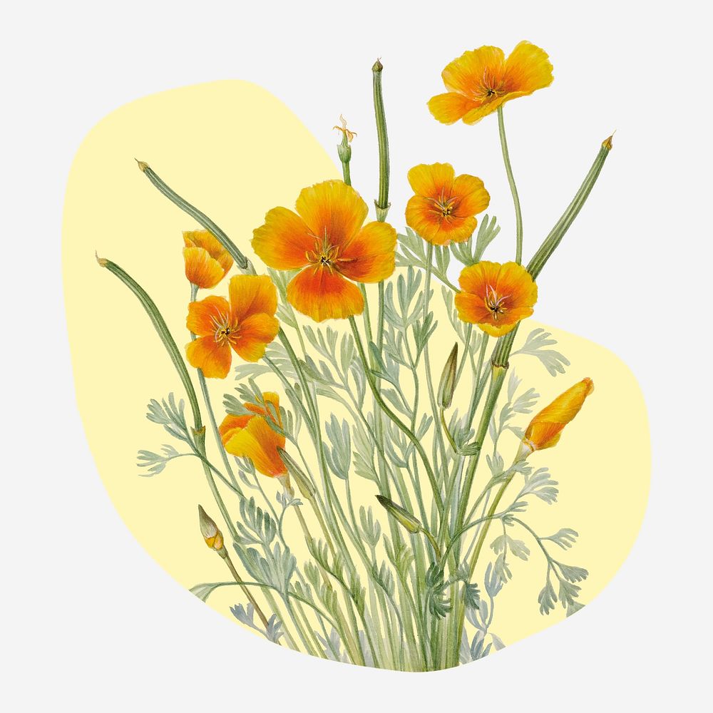 Yellow flower blob shape badge, vintage illustration