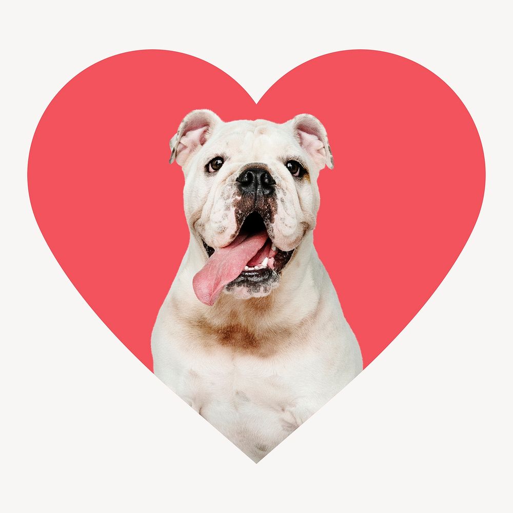 English bulldog heart shape badge, pet photo psd