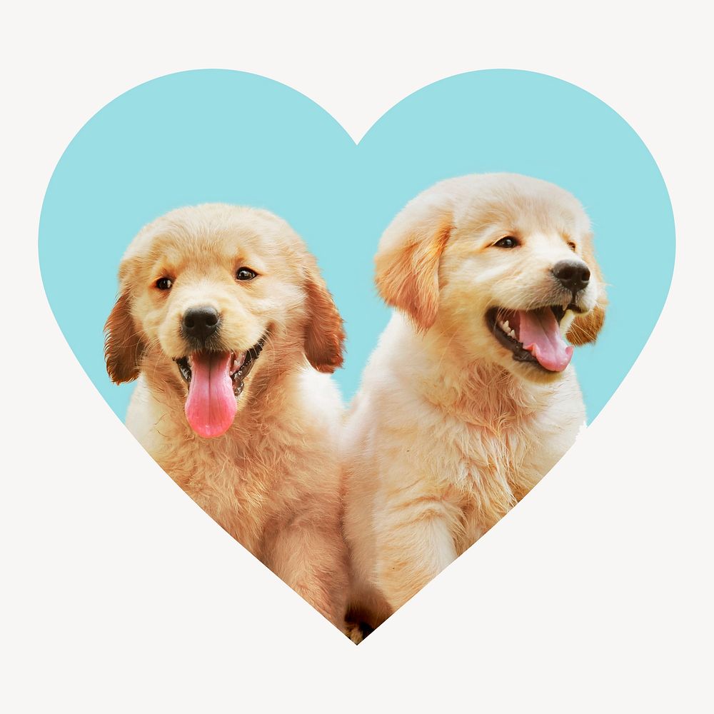 Cute puppies heart shape badge, Golden Retriever photo