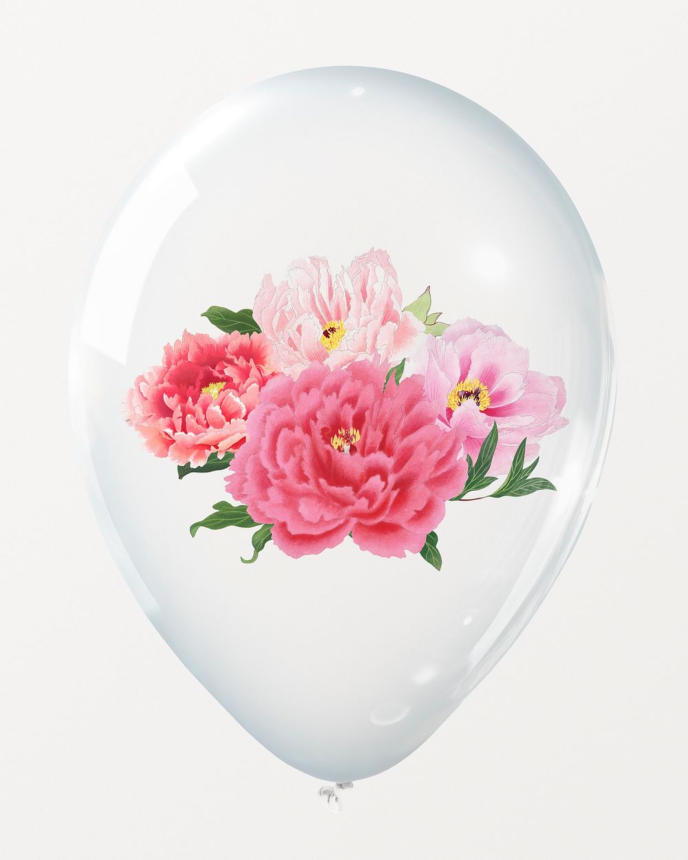 Pink peonies in clear balloon