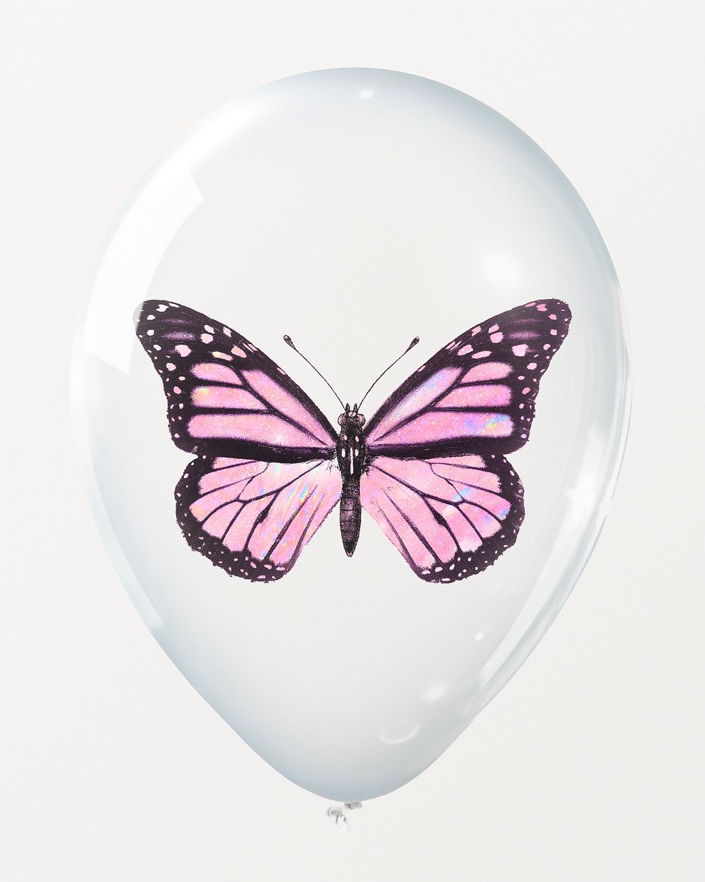 Pink butterfly in clear balloon