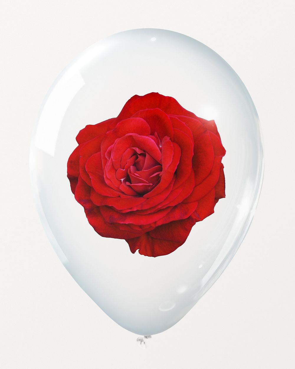 Red rose clear balloon, valentine's Free Photo rawpixel