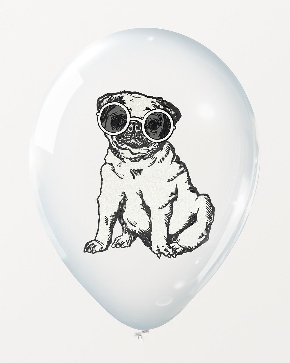 Pug wearing sunglasses, sitting in clear balloon
