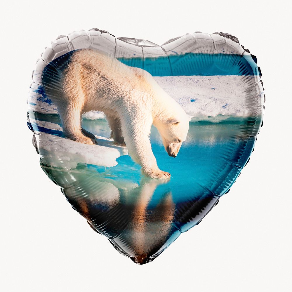Polar bear walking on ice heart balloon clipart, environment photo