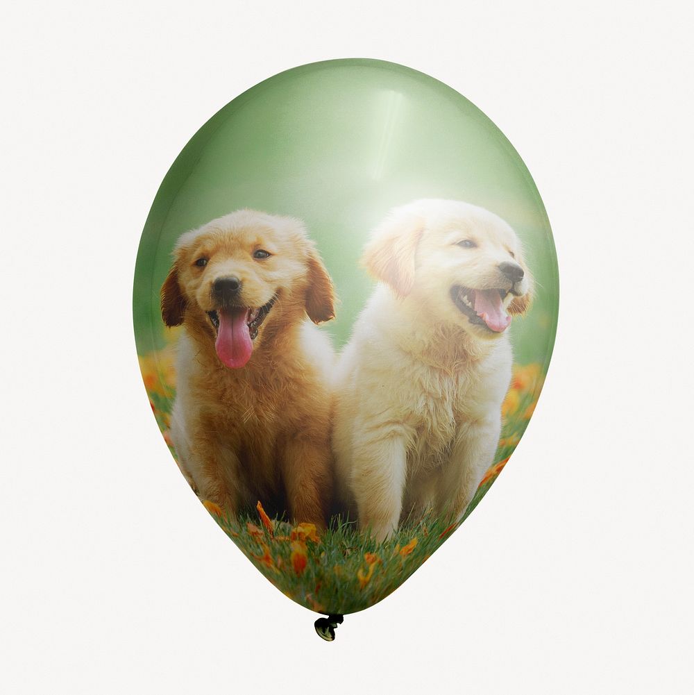 Golden Retriever puppies balloon clipart, pet photo