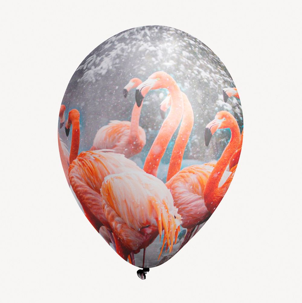 Aesthetic flamingos balloon clipart, animal photo