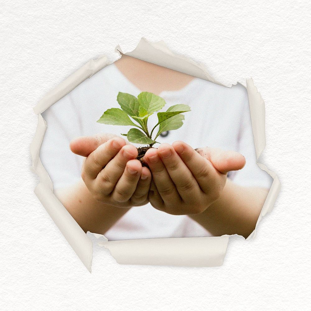 Plant in hands center ripped paper shape sticker, environmental conservation image psd