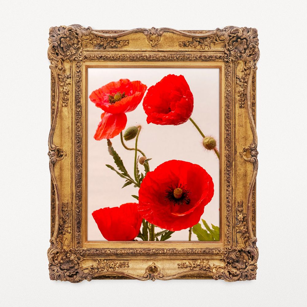 Poppy flowers artwork in decorative gold frame