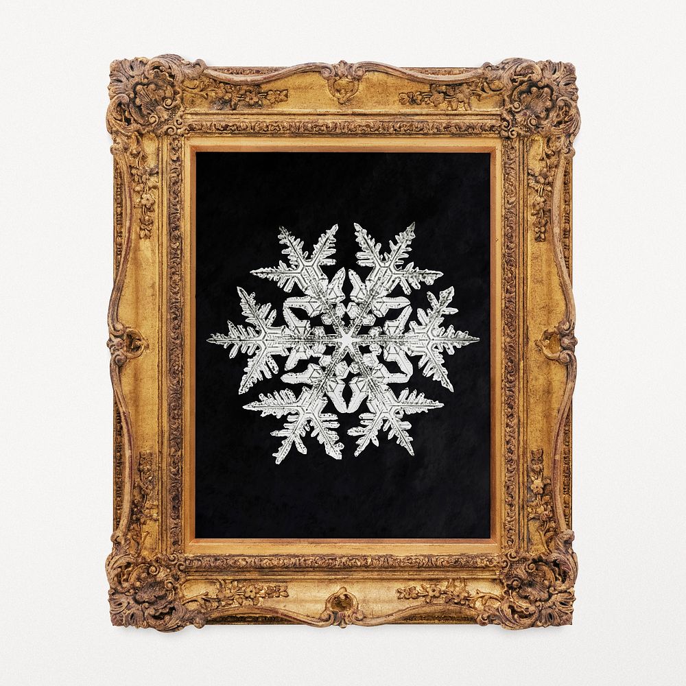 Macro snowflake artwork in decorative Rococo frame, remixed by rawpixel