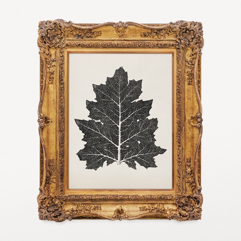 Black leaf vintage artwork in decorative Rococo frame, remixed by rawpixel
