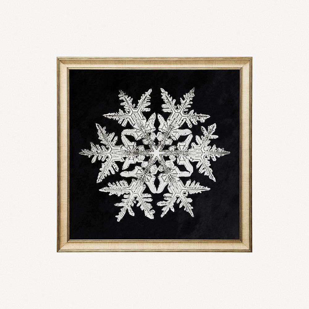 Snowflake framed image
