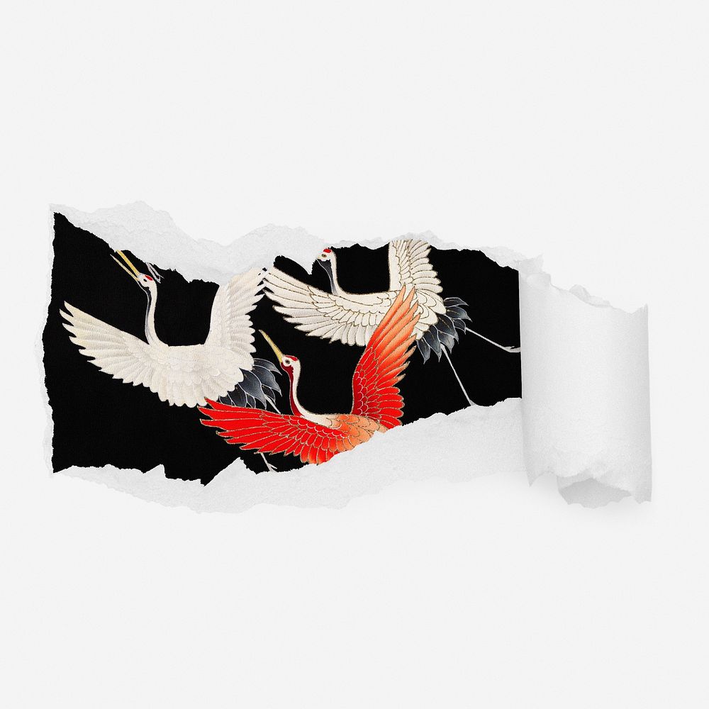 Flying cranes ripped paper reveal, animal illustration