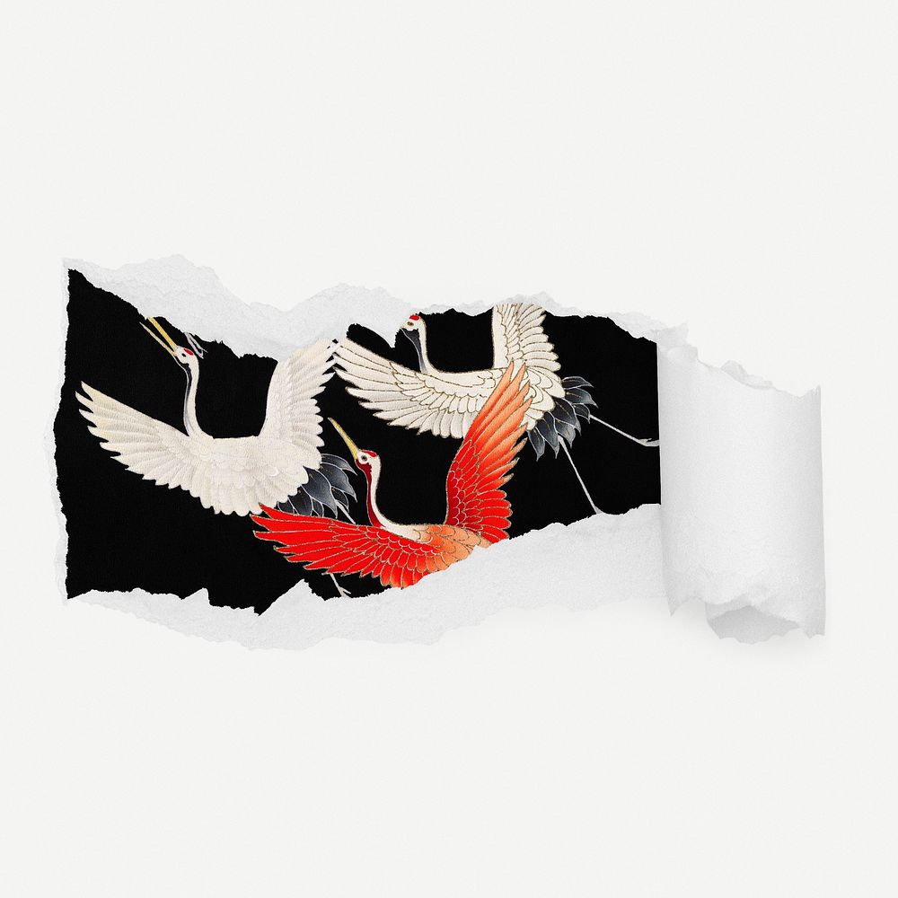 Flying cranes torn paper reveal sticker, animal illustration psd