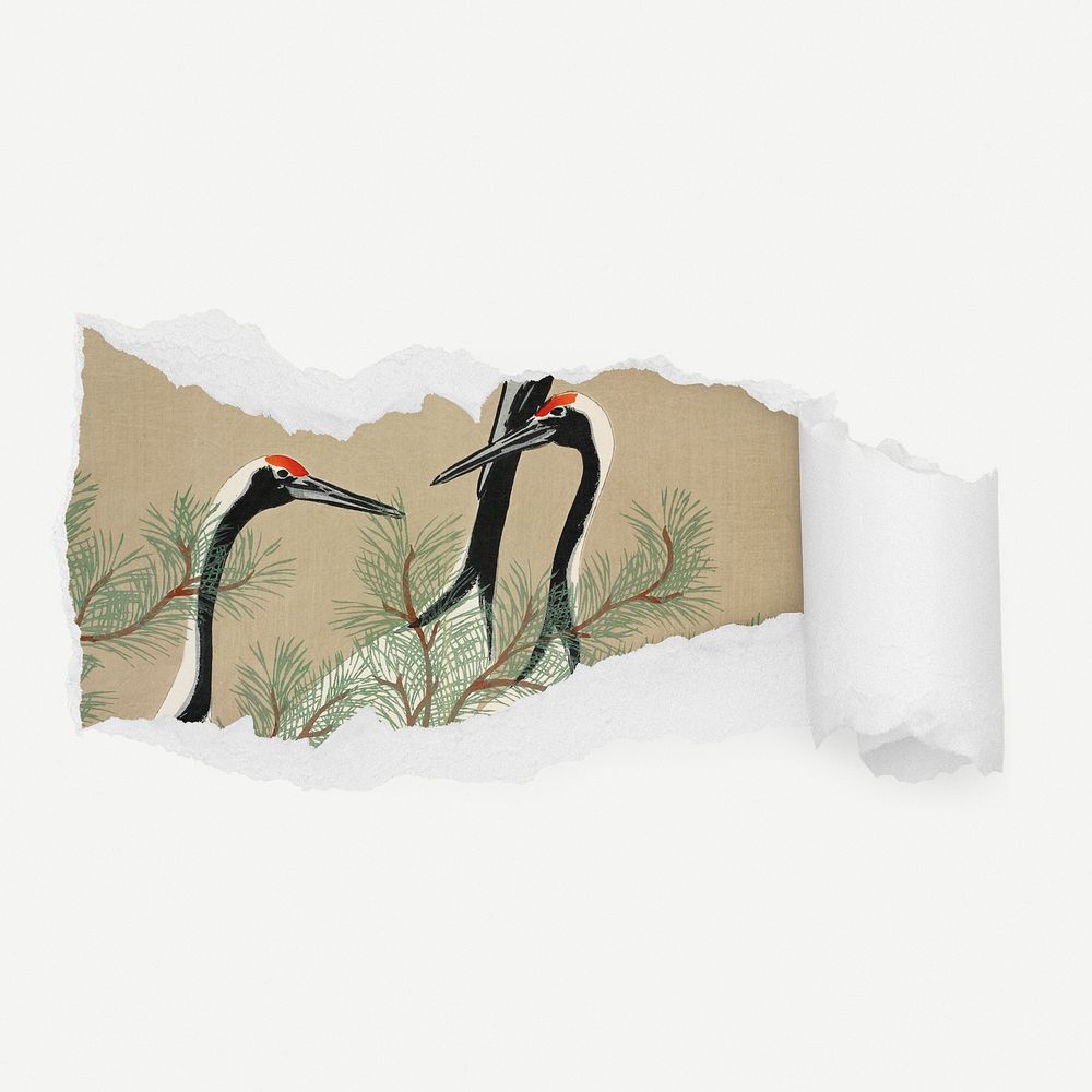 Japanese cranes torn paper reveal sticker, bird illustration psd
