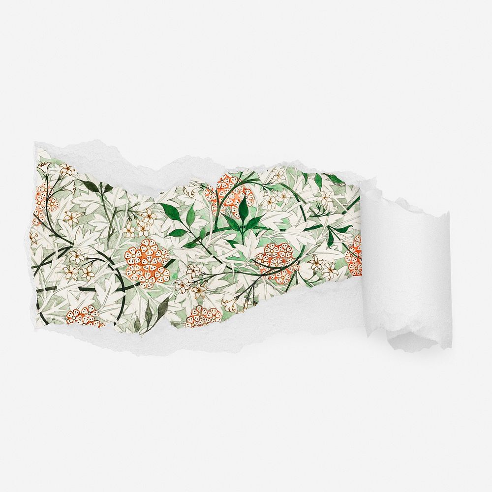 William Morris jasmine pattern ripped paper reveal, flower illustration