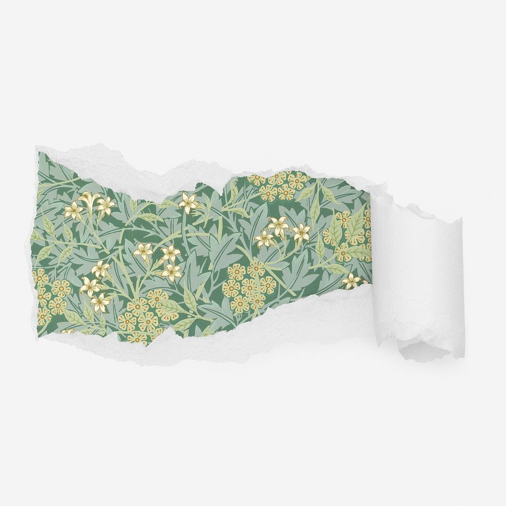 William Morris jasmine pattern ripped paper reveal, flower illustration