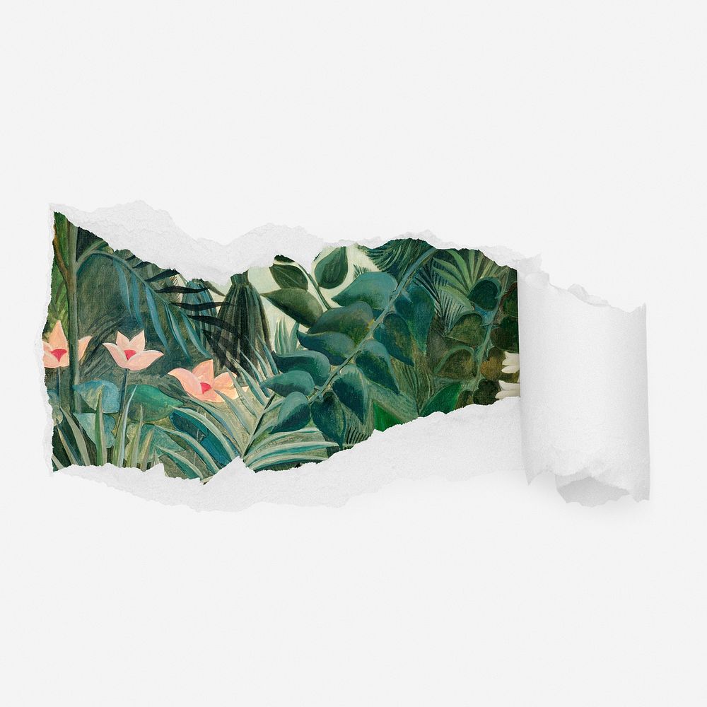 Vintage jungle ripped paper reveal, nature illustration