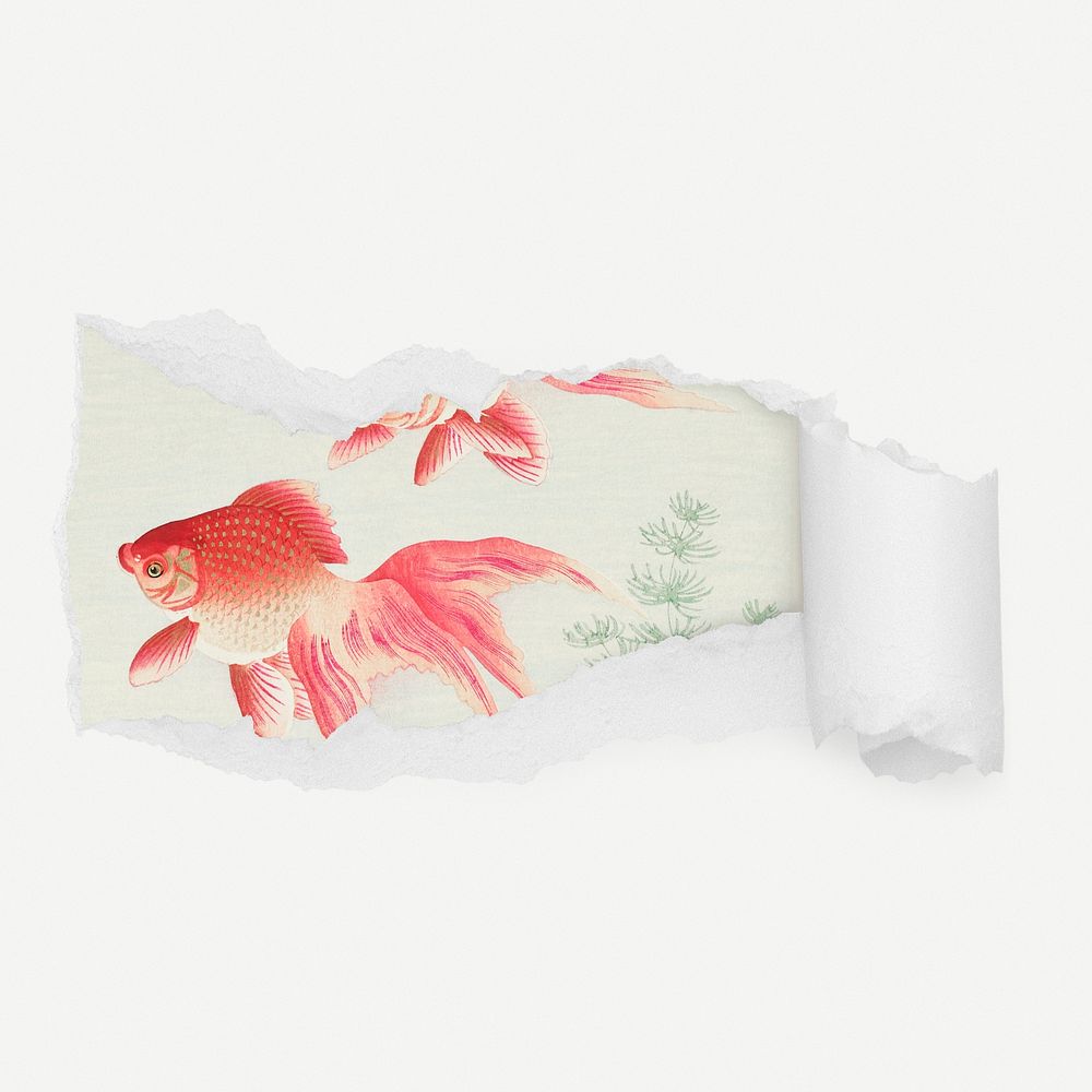 Ohara Koson goldfish torn paper reveal sticker, animal illustration psd
