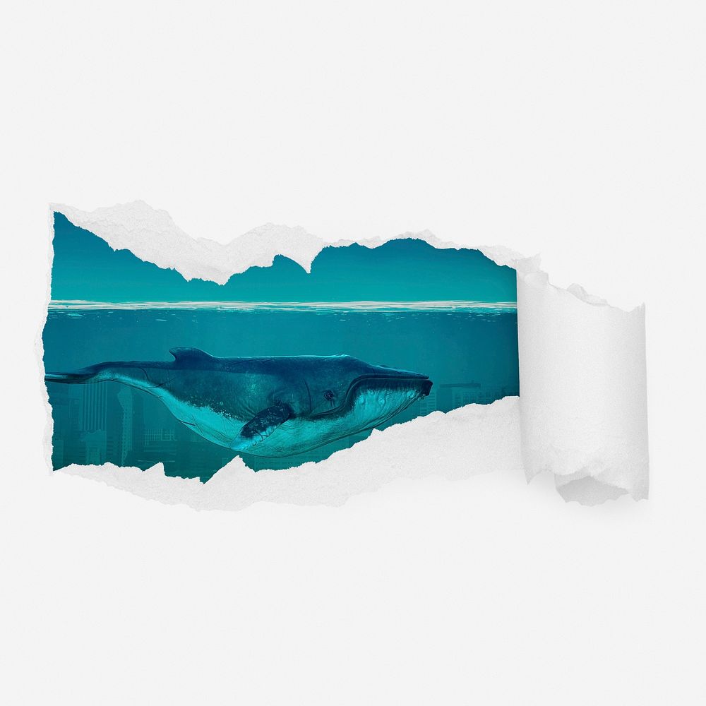 Whale swimming in ocean ripped paper reveal, environment illustration