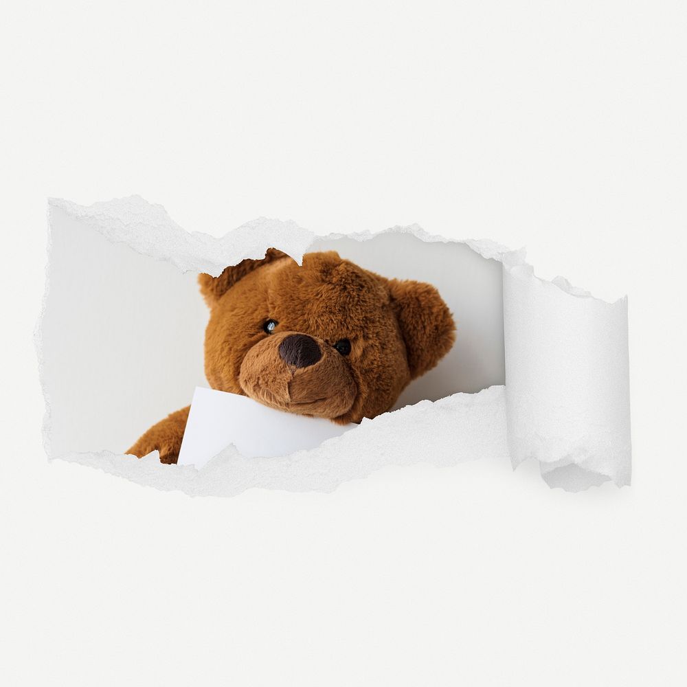 Teddy bear torn paper reveal sticker, toy photo psd