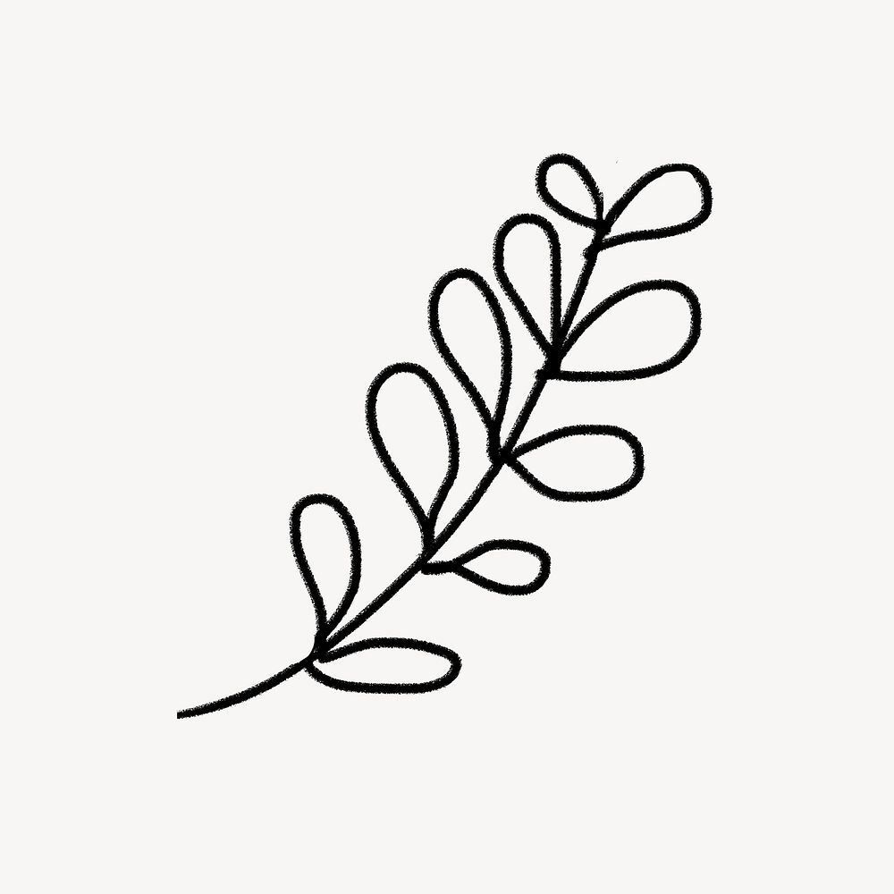 Leaf doodle clipart, botanical design psd