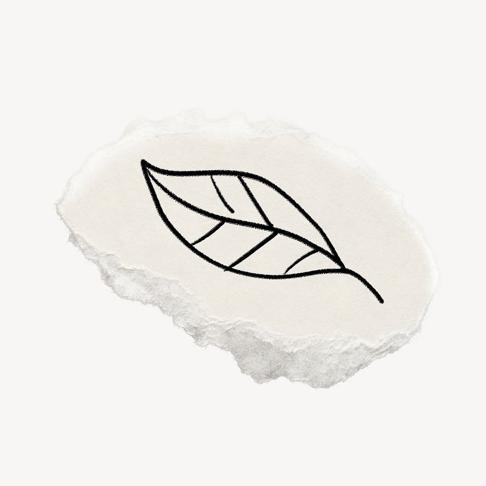 Leaf doodle clipart, ripped paper design psd