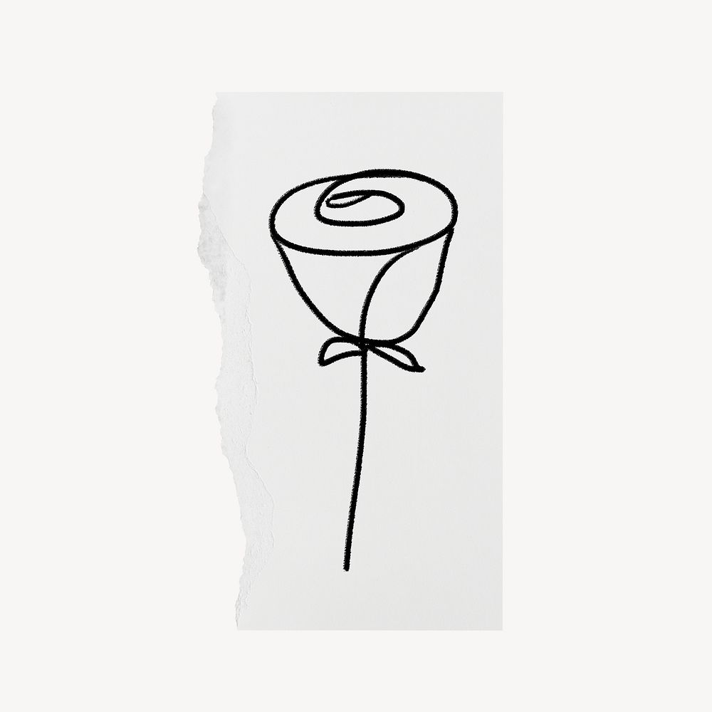 Rose doodle clipart, ripped paper design psd