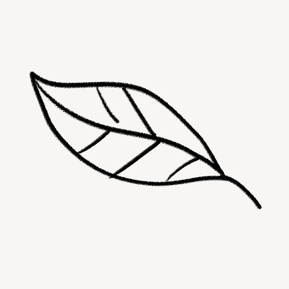 Simple leaf doodle clipart, botanical design psd