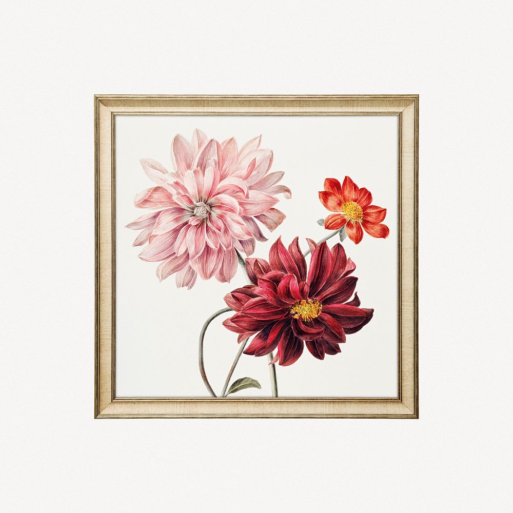 Peony flower framed image