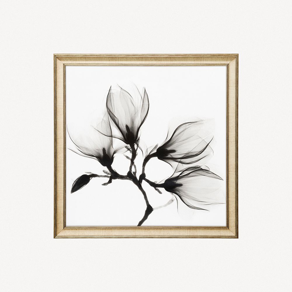 Black flower silhouette framed image