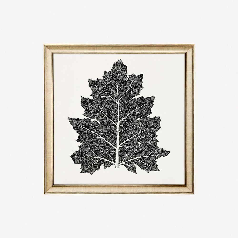 Oak leaf framed image